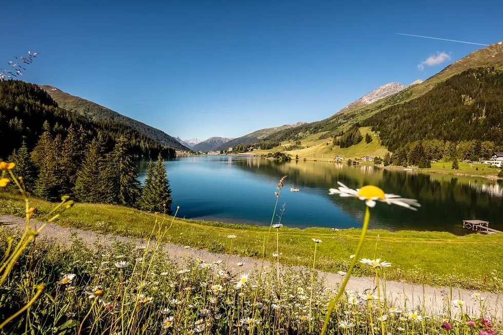 natur-davos-davosersee.webp