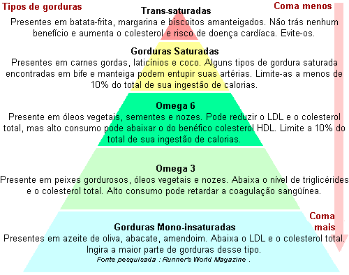 lipidios-3.gif