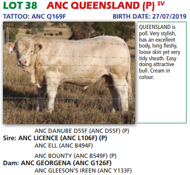 Lot 38 Q169F