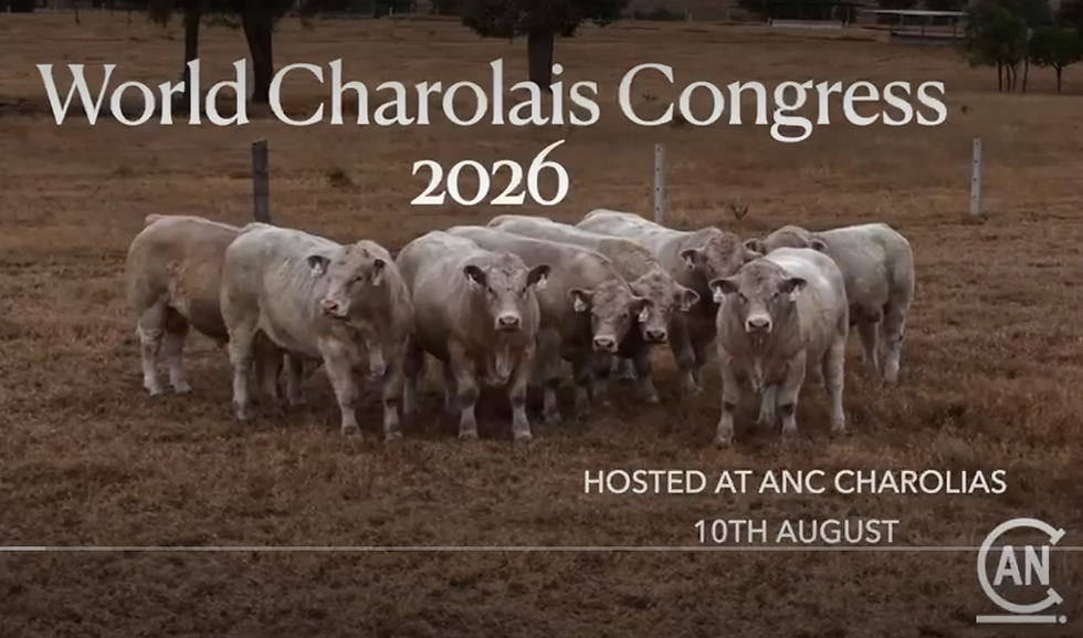 ANC Charolais hosts World Charolais Congress at Open Day