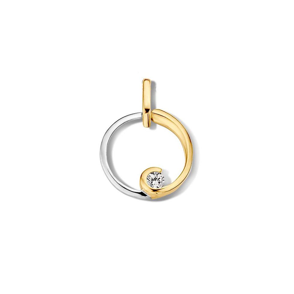 HB426898 Excellent Jewelry 14k gouden bicolor hanger geel- witgoud