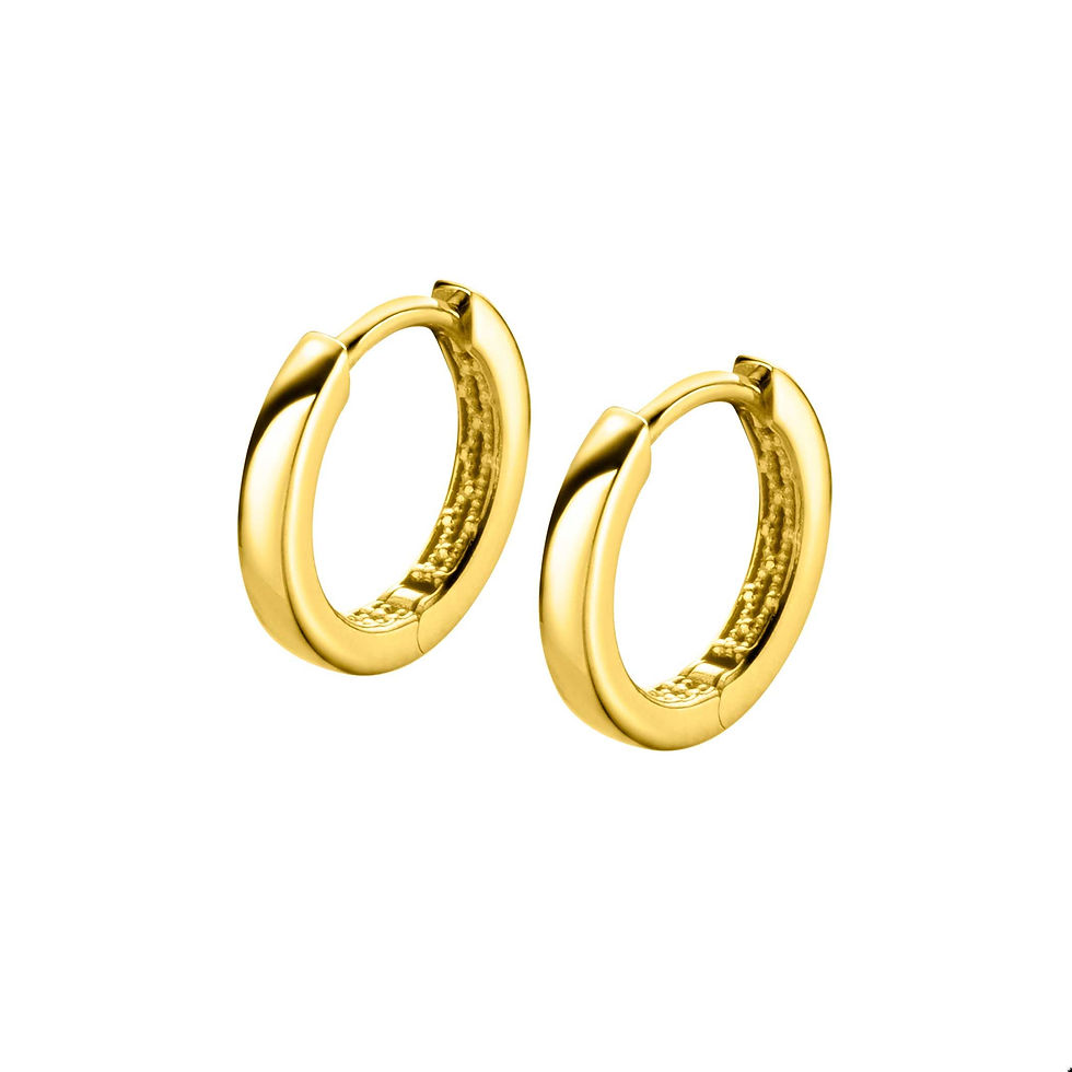 Thumbnail: ZGO321 ZINZI Gold 14 krt gouden oorringen met luxe klapsluiting