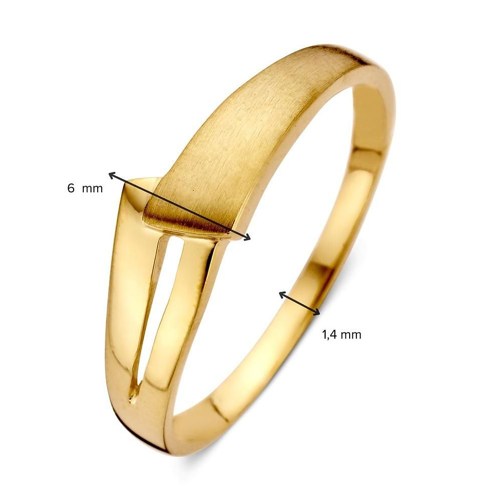 RB104762 Excellent Jewelry 14k gouden ring mat/poli