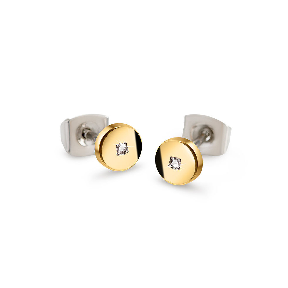 05064-04 Boccia titanium oorknoppen met diamant