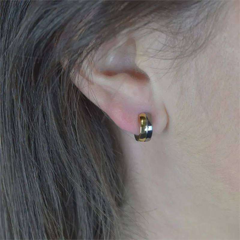 0505-07 Boccia bicolor titanium oorringen