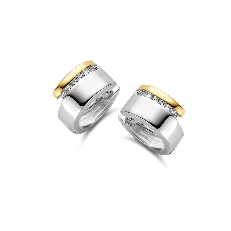 OF627134 ExcellentJewelry oorringen zilver met 14k goud