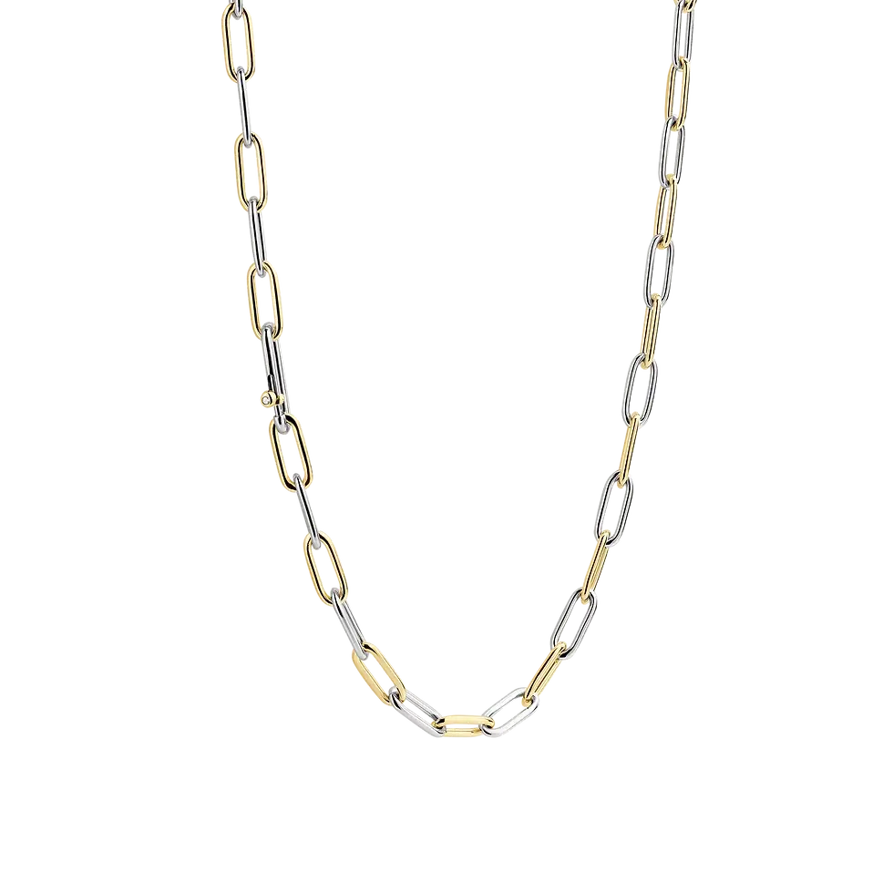 3947BI/42 Ti Sento zilver verguld collier bicolor schakel