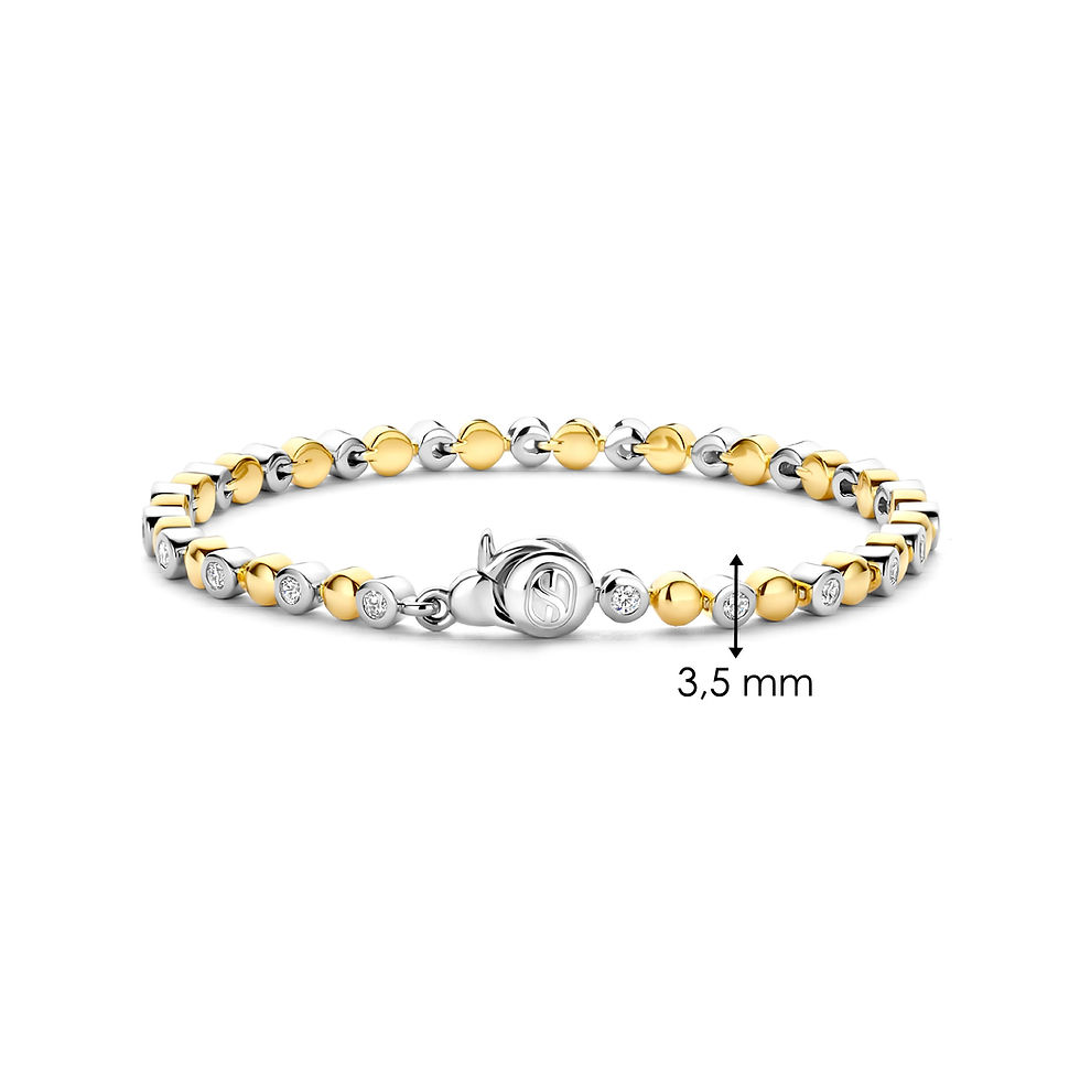 Thumbnail: 23066ZY Ti Sento bicolor zilveren armband zirconia