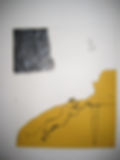 "The lioness with grand piano and yellow curtain"
