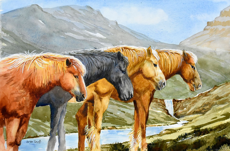 Ponies