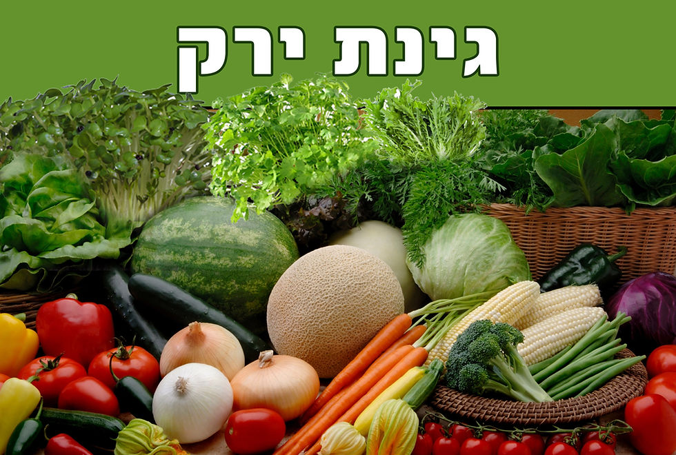 פירות וירקות