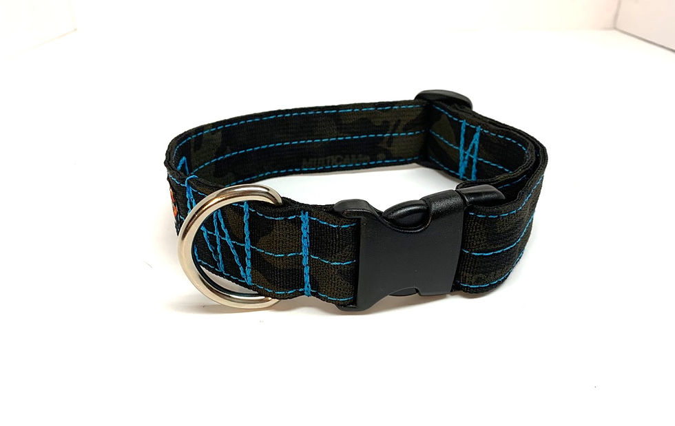Dog Collar 1.5"