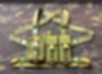 Thumbnail: Shotgun Chest Rig (36 round)