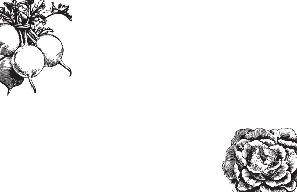 Background image.png