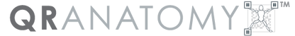 QR Anatomy-gray_transparent-01.png