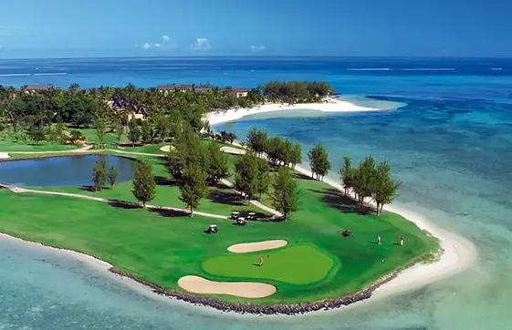 paradis.webp