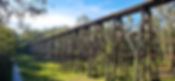 20231204_181625.jpg