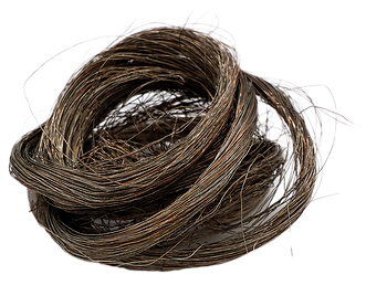 scrap 6 (2).png