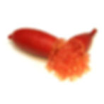 フィンガーライム:リトルビューティー(FINGER LIME:LITTLE BEAUTY)