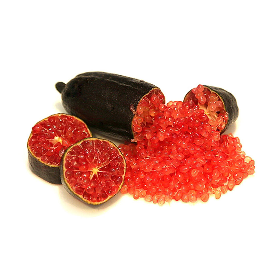 フィンガーライム | AKALA FRUITS