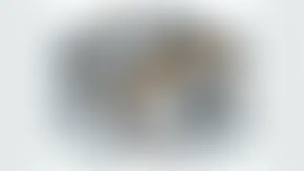 Fixed Asset Accounting for Small Businesses