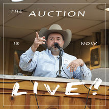 FUNDRAISER AUCTION NOW LIVE!