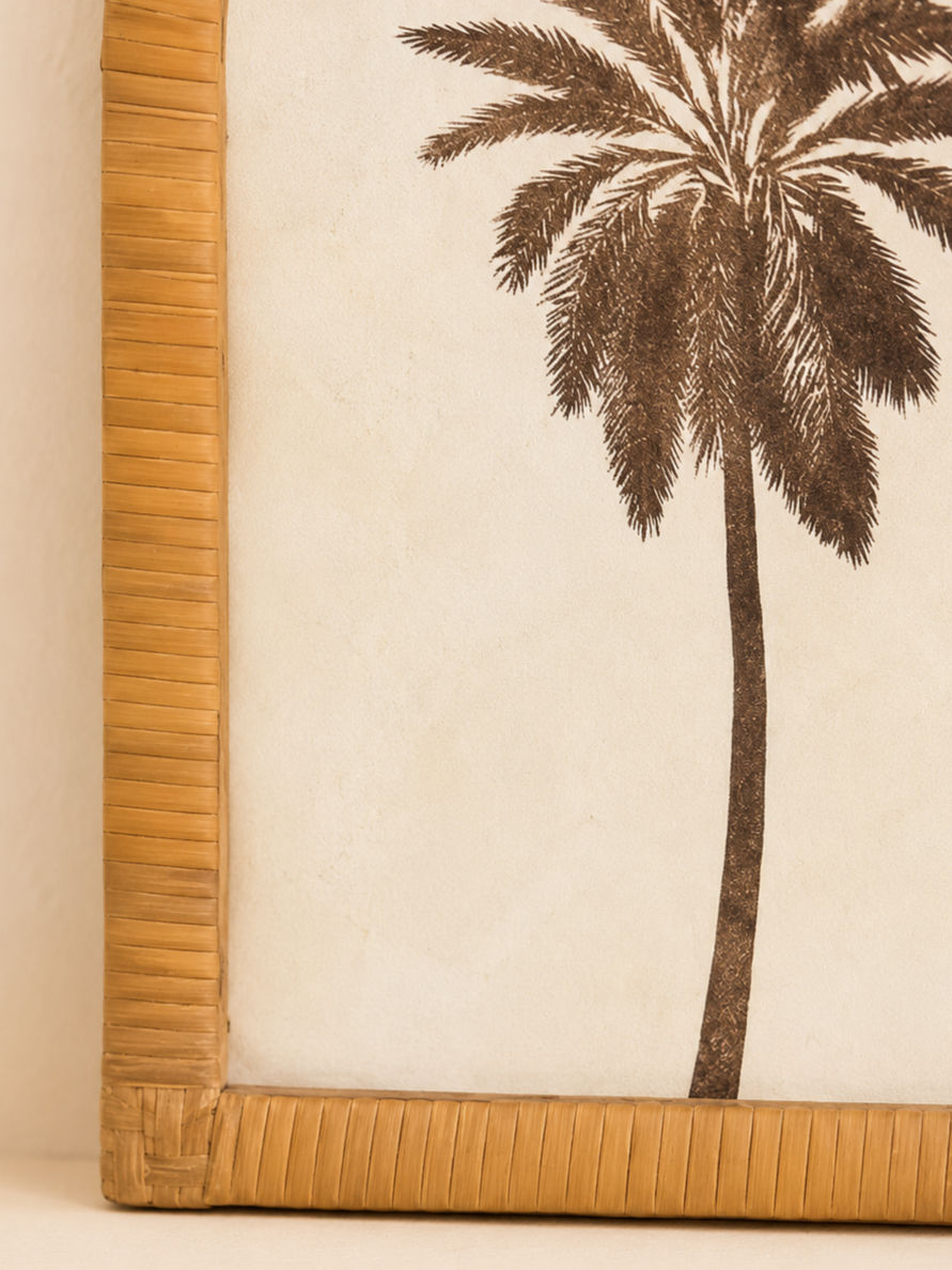 Miniatura: Cuadros de Ratán Palmera