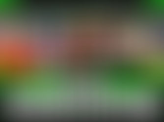 Why Visualization is the Missing Edge for Goaltenders