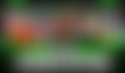 Why Visualization is the Missing Edge for Goaltenders 