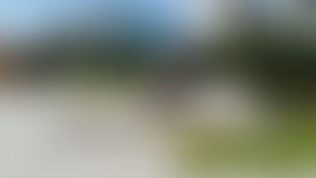 [답사]신세계백화점 본점 옥상조경