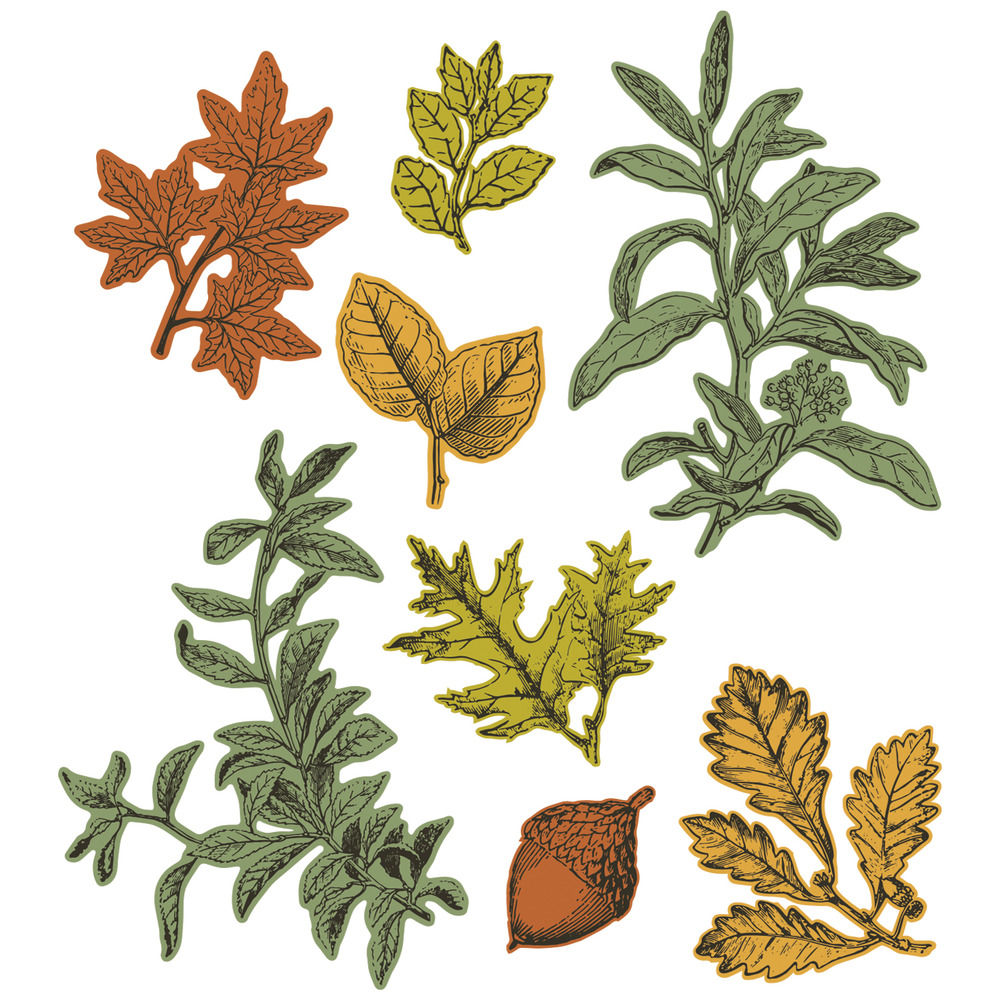 Forever Leaves Stamps with Framelits Dies