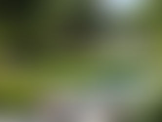 Checklist para Amueblar un Espacio Exterior desde Cero