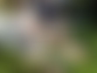 Muebles Plegables y Apilables para Terrazas Pequeñas