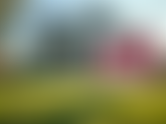 Navigating the New Realities of Today's Real Estate Market for Buyers and Sellers