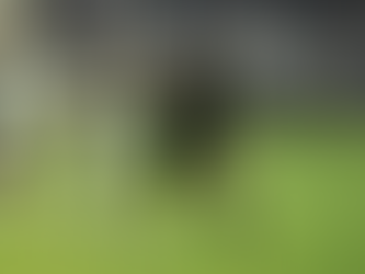 Altay - Sakaryaspor: 3-1