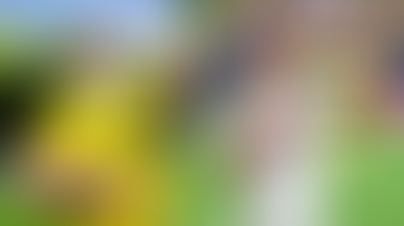 ''4-4'lük'' Maçta Arda ve Sörloth Şov Yaptı! | ÖZET