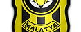 Yeni Malatyaspor Logo