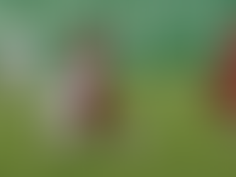 Edirne, Kendine Geldi | Elazığspor - Edirnespor: 0-2