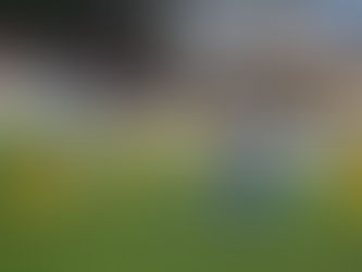 İskenderunspor - Bucaspor 1928: 1-2