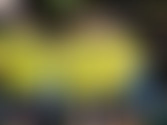 Fenerbahçe'nin Spartak Trnava Kamp Kadrosu Belli Oldu