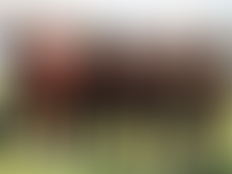 Adanaspor Galibiyet Bulmakta Zorlanıyor