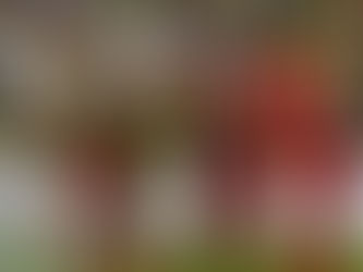 Fenerbahçe - Antalyaspor: 3-2