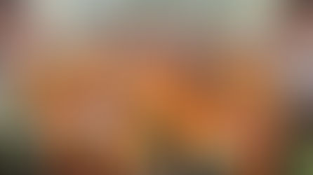 Afrika Uluslar Kupası Şampiyonu Fildişi Sahili! | Fildişi Sahili - Nijerya: 2-1 | ÖZET