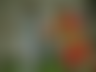 Göztepe - Sakaryaspor: 0-1