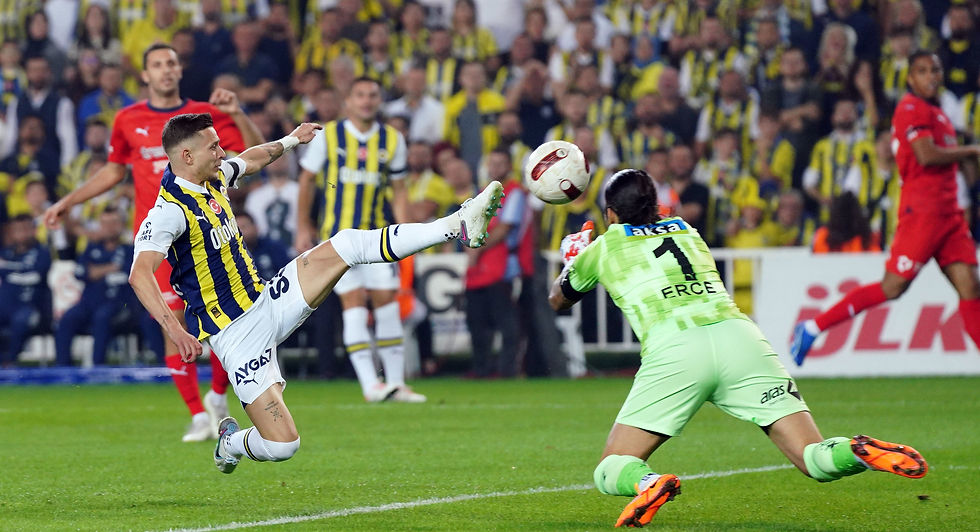 fenerbahçe hatayspor maçı