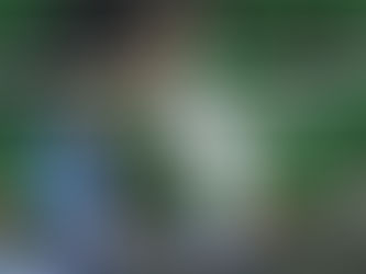 Sakaryaspor - Gençlerbirliği: 0-0