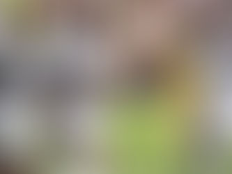 Beşiktaş Uzatmalarda Avantaj Aldı | Dinamo Kiev - Beşiktaş: 2-3