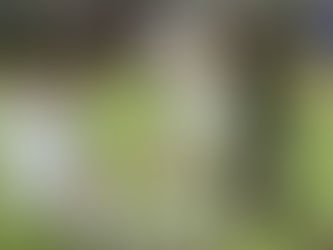 Şanlıurfa Lige 3 Puan İle Adım Attı | Şanlıurfaspor - Altay: 2-1