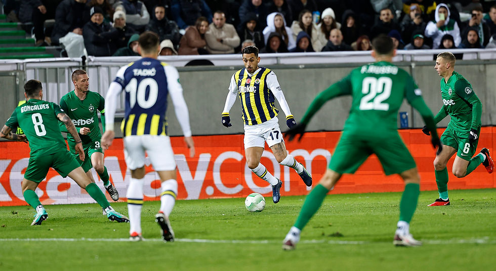 fenerbahçe Ludogorets maçı