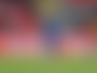 Sakaryaspor, Rajko Rotman'ı Kadrosuna Kattı